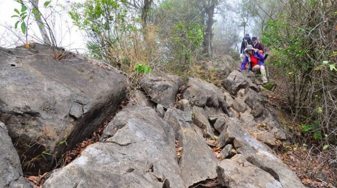 龍麟山步道維修 龍麟山步道維修