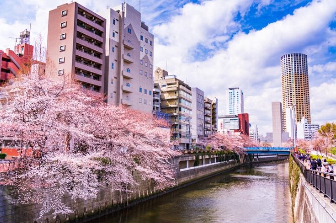 目黑美術館 參觀 目黑美術館 參觀