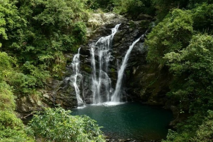 雙流森林遊樂區建議時間 雙流森林遊樂區建議時間
