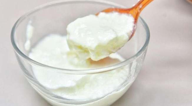 乳酪熱量 乳酪熱量