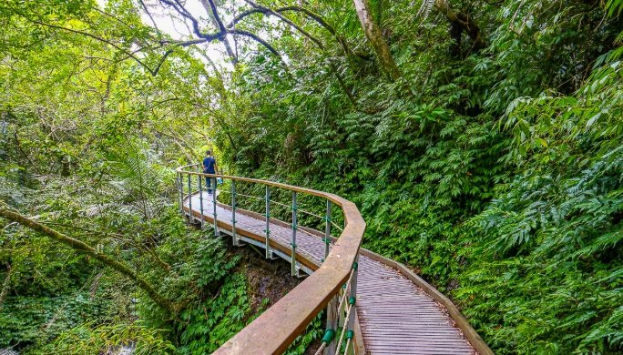 宜蘭森林步道推薦 宜蘭森林步道推薦