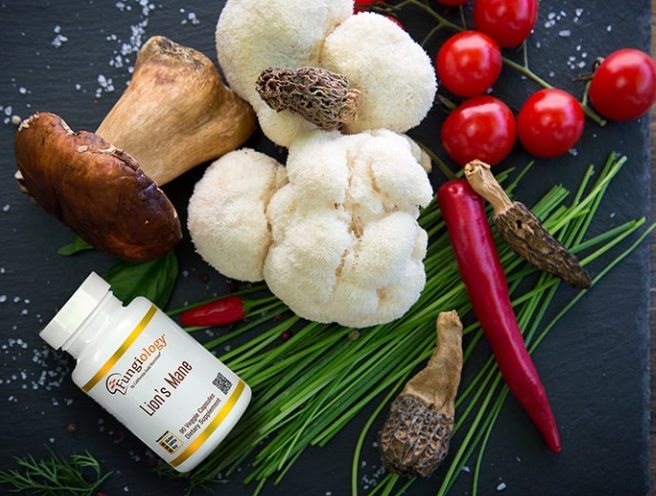 獅鬃菇好處 獅鬃菇好處