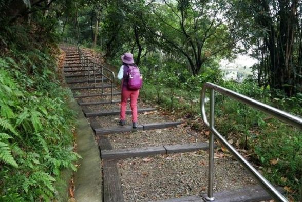 孫龍步道氣候 孫龍步道氣候
