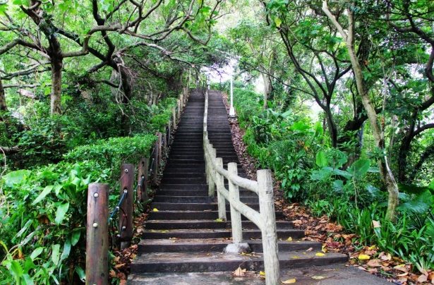 中和圓通禪寺步道