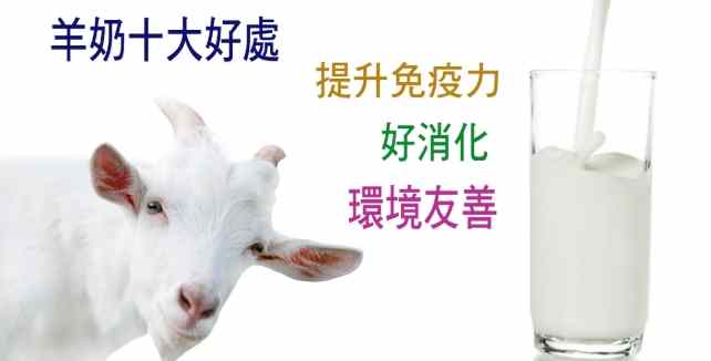 羊奶減肥 羊奶減肥
