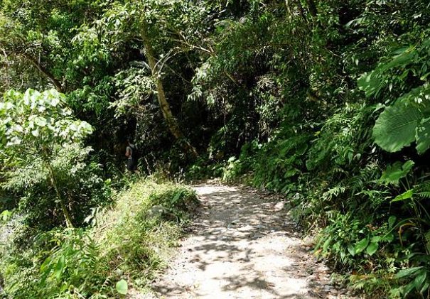 太魯閣步道資訊