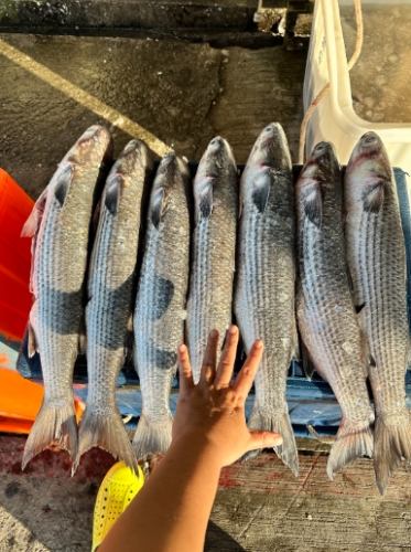 烏魚中毒 烏魚中毒