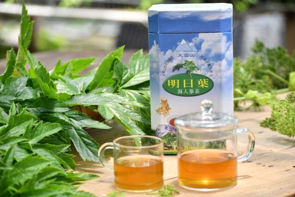 明日葉茶副作用