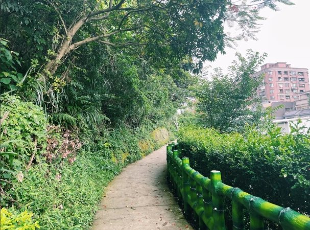 孫龍步道氣候 孫龍步道氣候