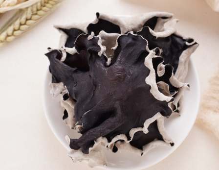 白背木耳紅棗水副作用 白背木耳紅棗水副作用