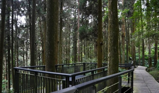 奮起湖步道怎麼走