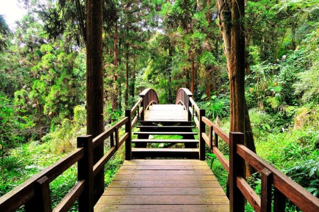 奮起湖環湖步道