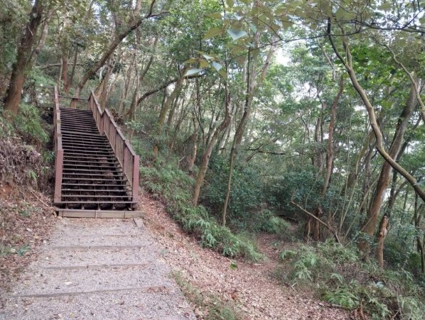 觀日步道攻略 觀日步道攻略