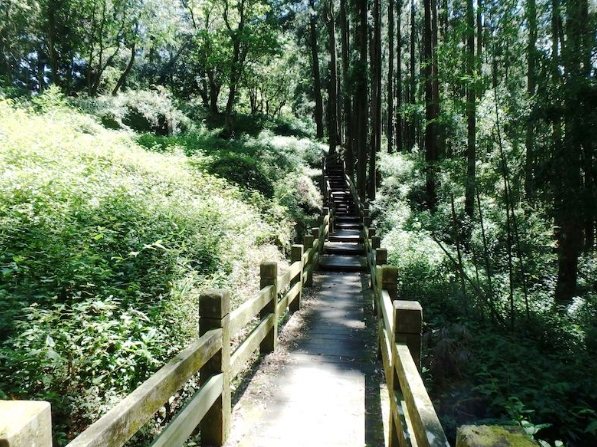 奮起湖登山步道