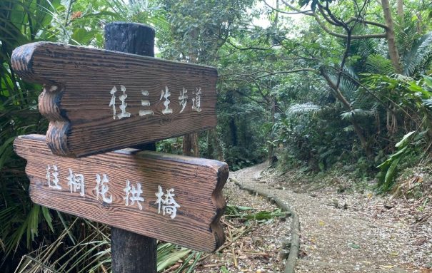 林蔭步道健行 林蔭步道健行