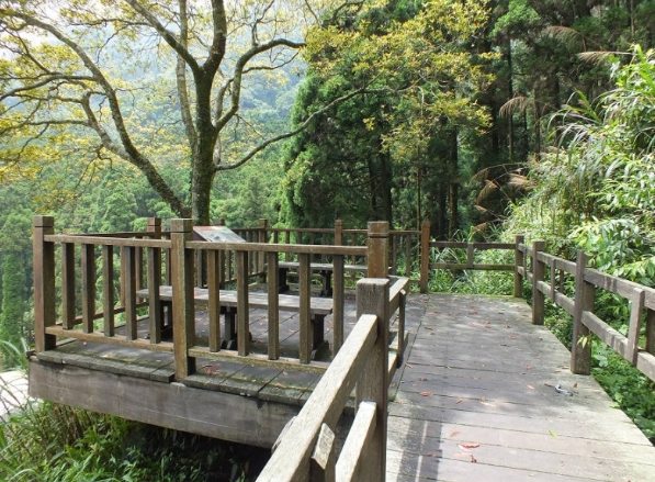 奮起湖步道開放時間