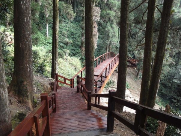 奮起湖步道開放時間