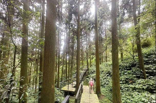 阿里山步道難易度