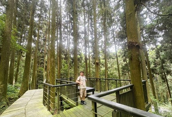 奮起湖登山步道