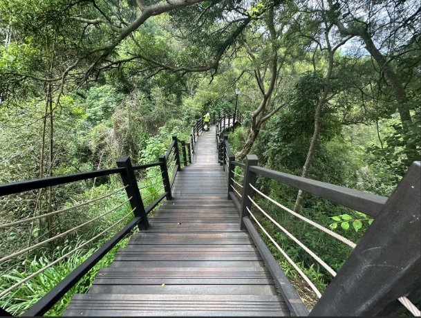 大坑9號步道交通