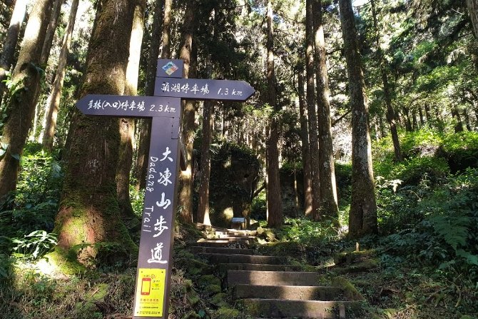 阿里山步道難易度