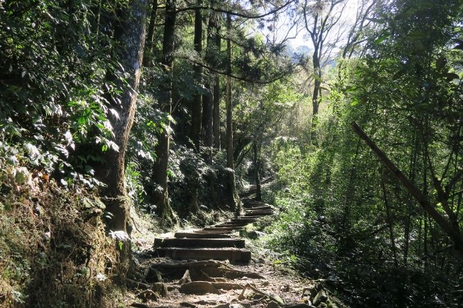 阿里山步道難易度