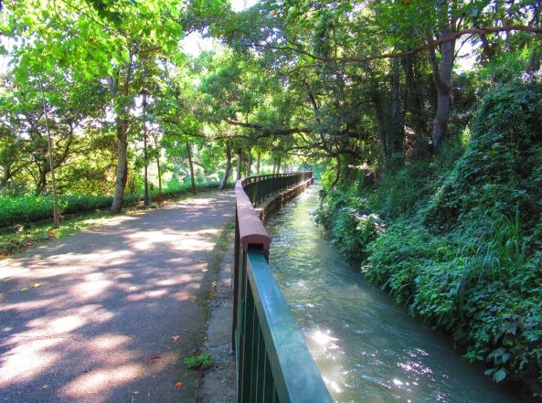 水流東農業旅遊