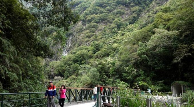 太魯閣白楊步道