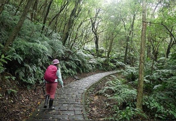 小溪頭環狀步道路線