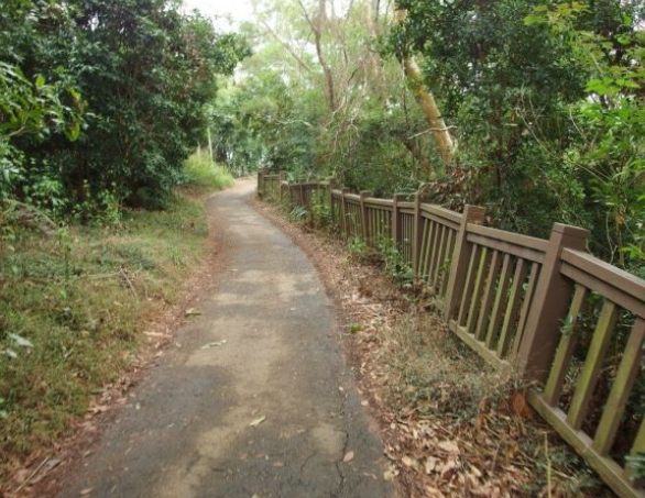 橫山步道登山 橫山步道登山