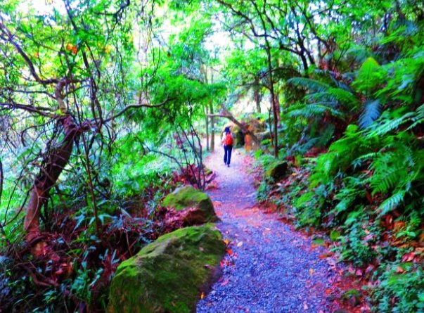 台北親子健行步道