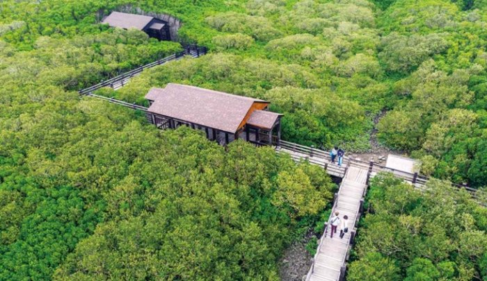 新豐紅樹林開放時間