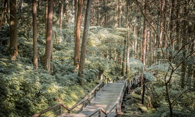 杉林步道遊覽時間