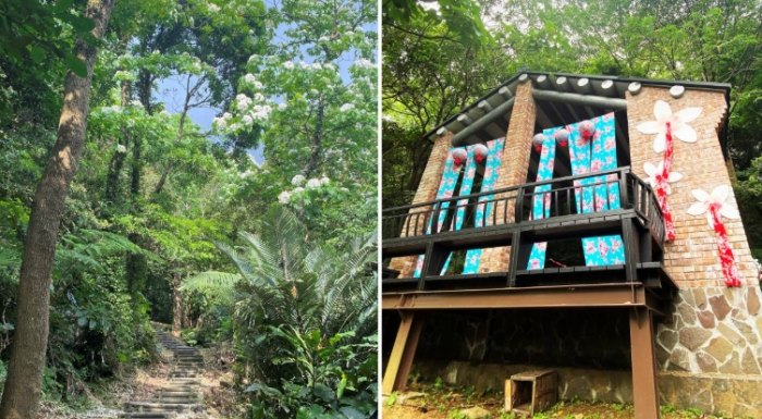 林蔭步道健行 林蔭步道健行