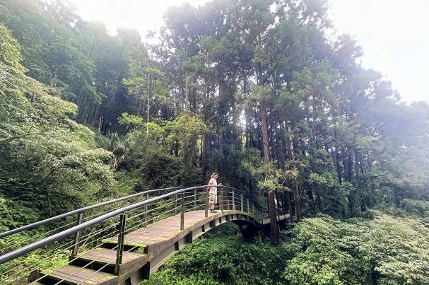 奮起湖步道攻略