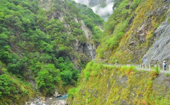 白楊步道開放時間 白楊步道開放時間