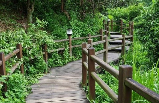 大坑步道風景評比