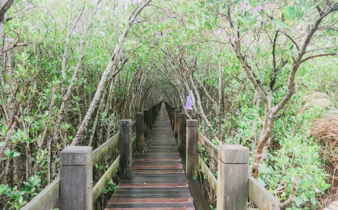 新豐紅樹林公車 新豐紅樹林公車