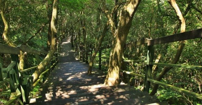 台北親子健行步道