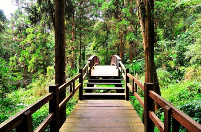 奮起湖步道怎麼走