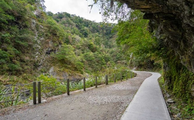 白楊步道開放時間