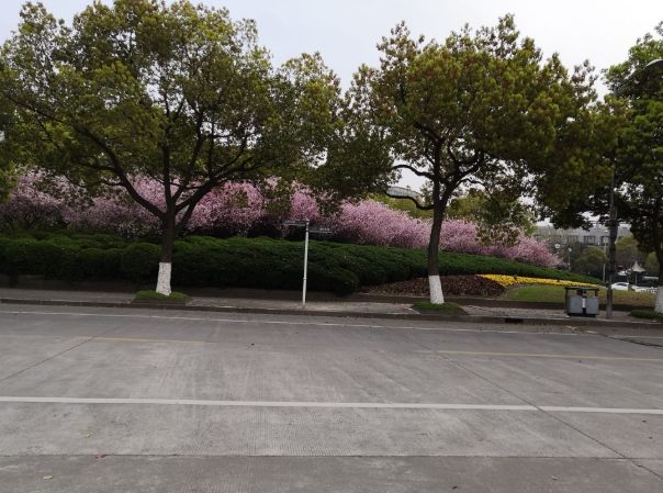 涵碧步道 時間安排