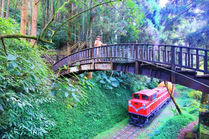 杉林步道遊覽時間