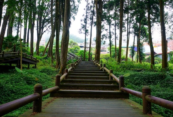 奮起湖步道開放時間