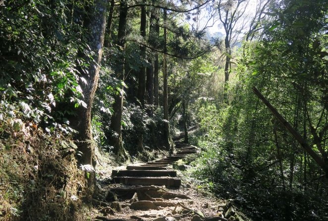 奮起湖森林步道