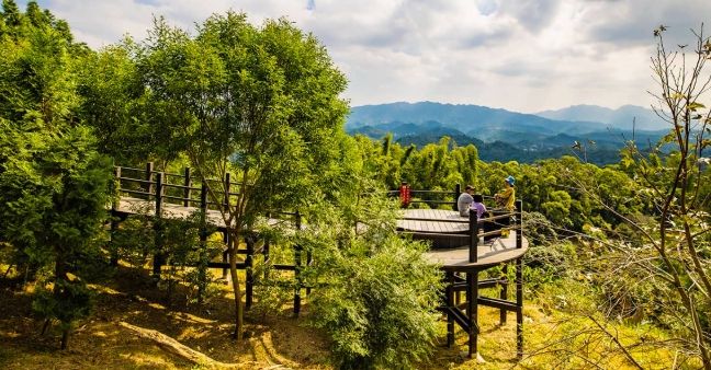 大坑9號步道交通