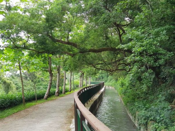 台灣休閒農業區推薦