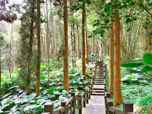 奮起湖步道攻略