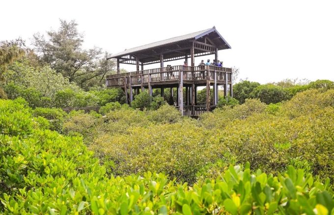 新豐紅樹林怎麼去 新豐紅樹林怎麼去