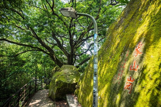 南港山步道攻略
